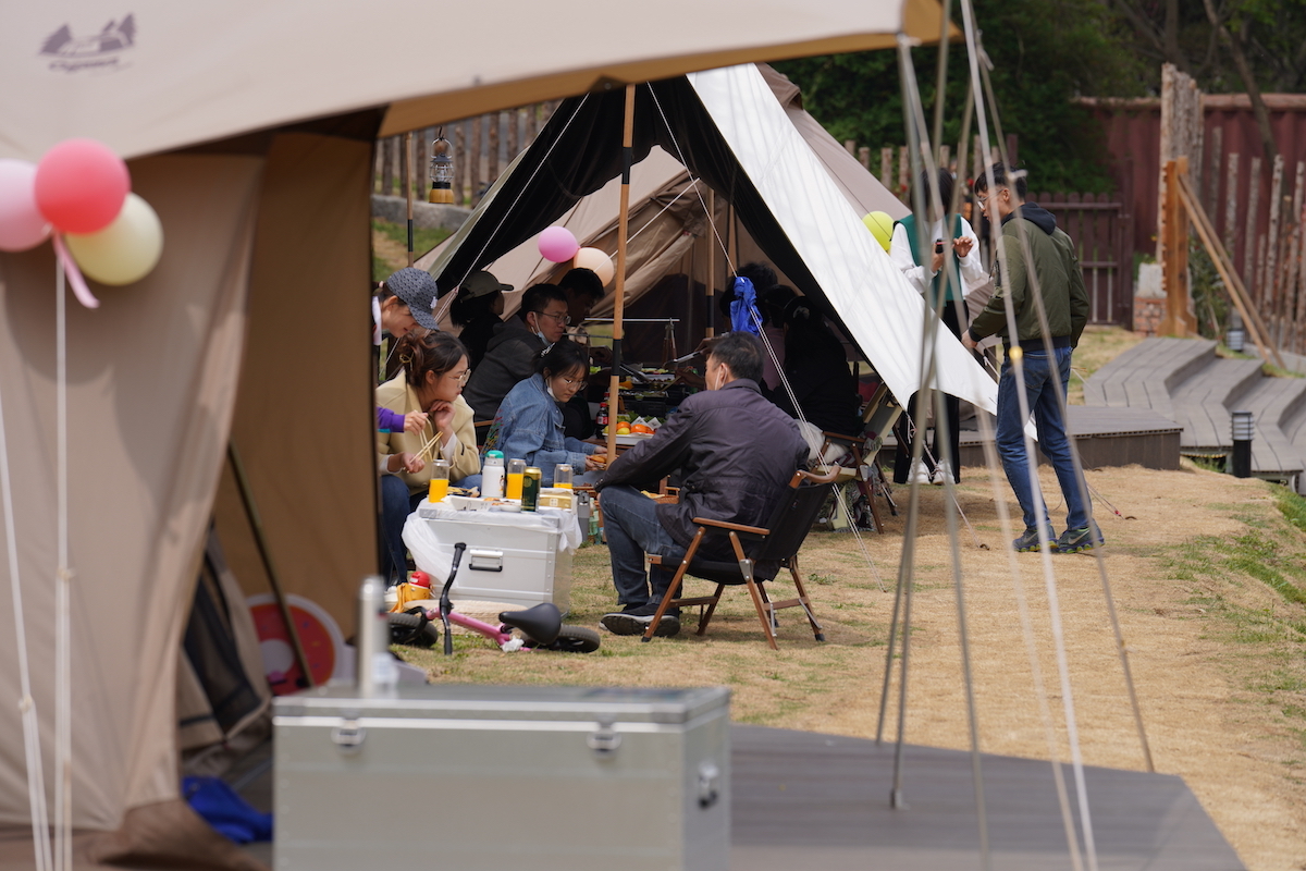 五一假期总接待3.7万人次 青岛森林野生动物世界趣青野露营地报名火热