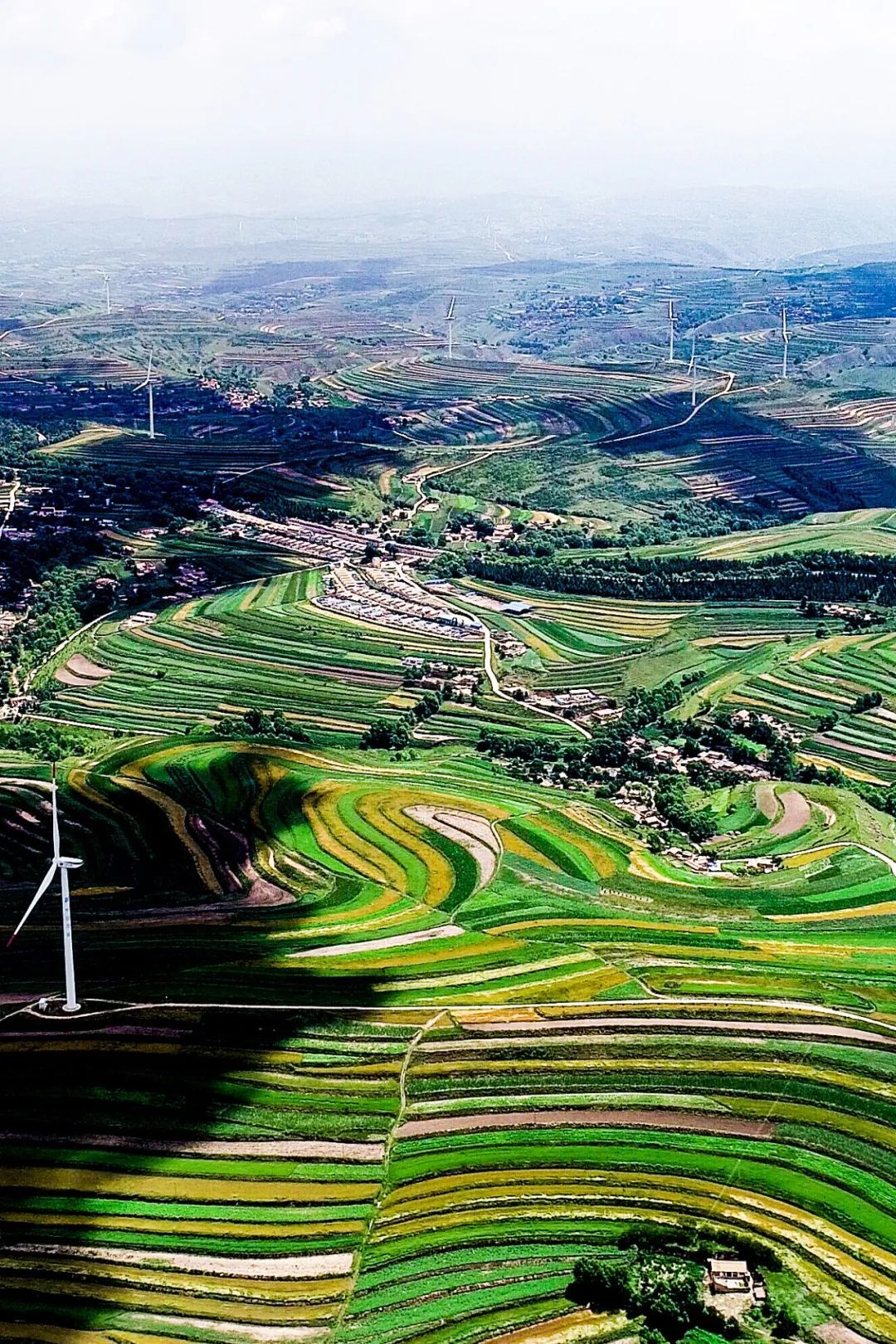 定西通渭县，梯田上的发电风车。 图/视觉中国