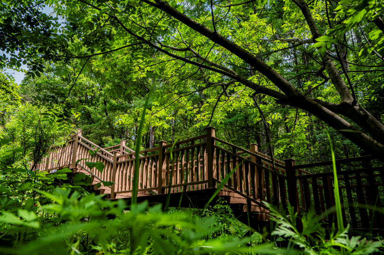 神鹿峰旅游度假区开园——让我们开启热爱的旅程！