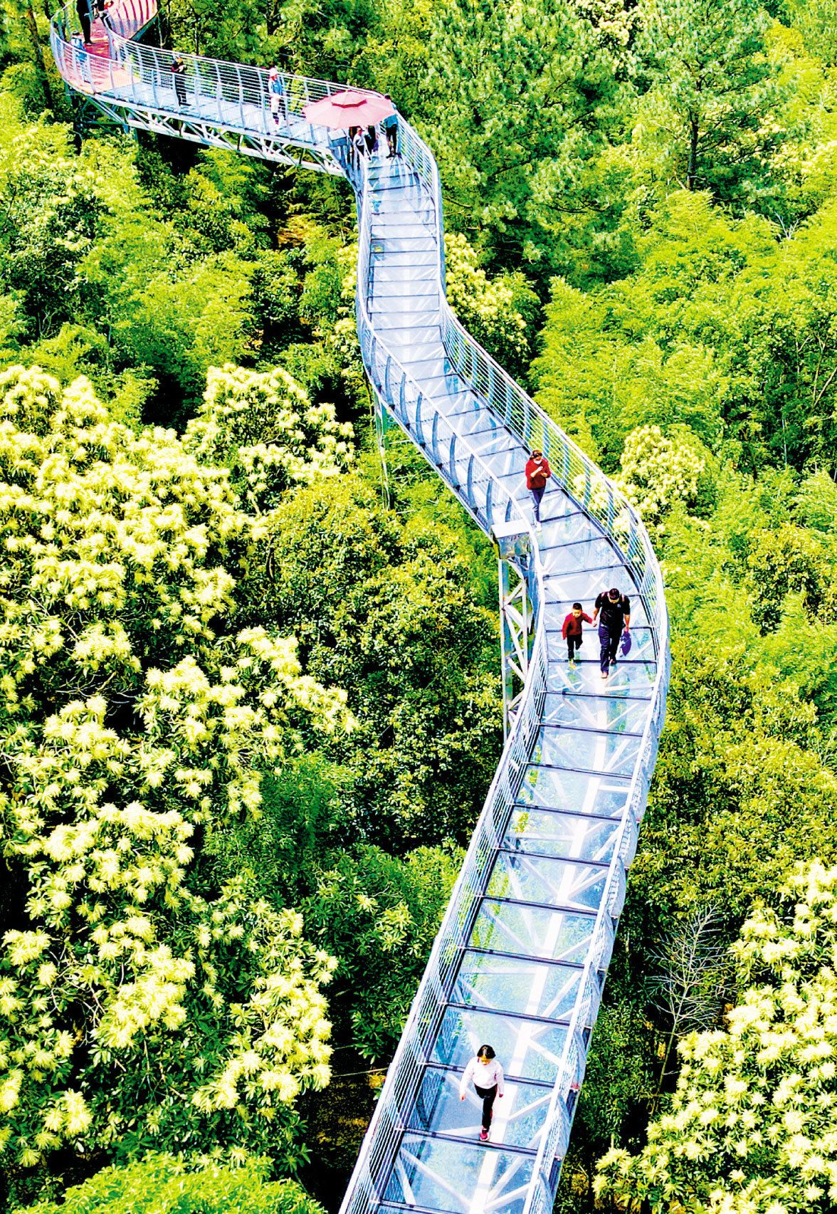 大余县乡村文旅新画卷图