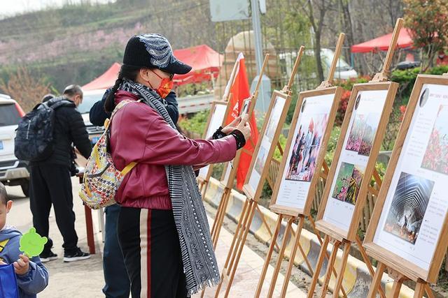 一名游客在鄠邑第四届桃花节现场游玩拍照。赵影超摄