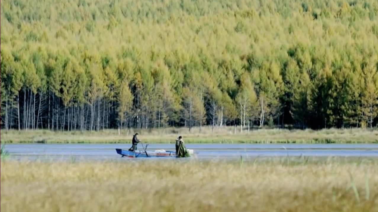 在阿尔山不是所有湖里都有鱼，乌苏浪子湖是天然宝库之一