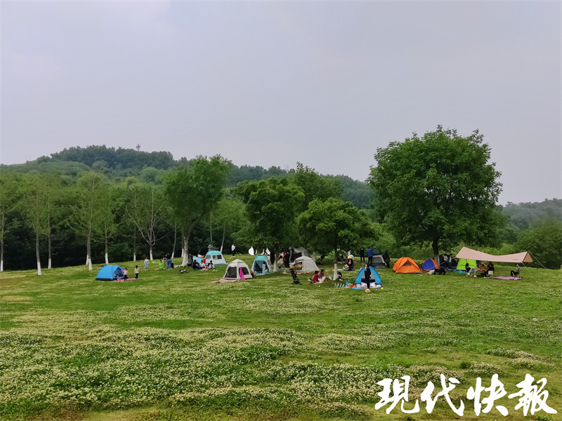 △南京羊山公园里的游客
