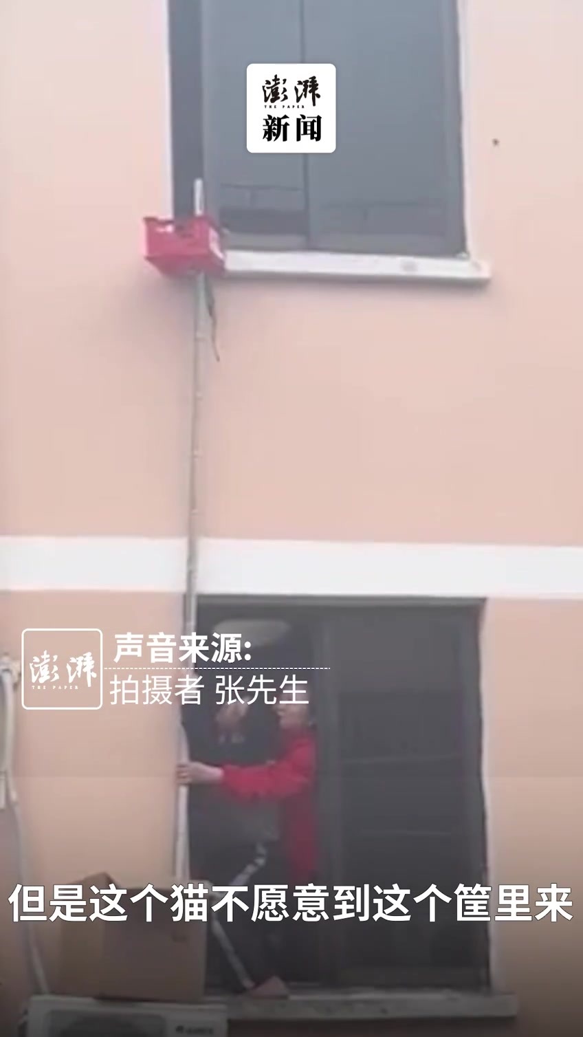 上海一对老年夫妻从5楼隔空递食物给楼上“独居”猫咪