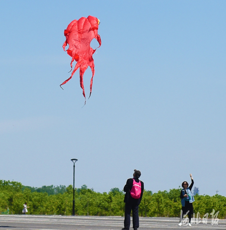 “五一”长假,石家庄市民来到郊外游玩,放飞心情。河北日报记者赵永辉摄影报道