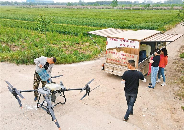活跃在田间地头的植保无人机喷洒农药效率很高　　记者 谢伟 摄