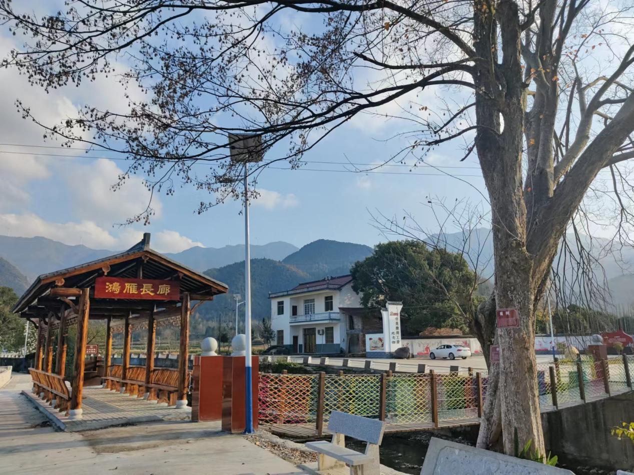 安徽东至县葛公镇红旗岭村红色热土绿色崛起田园美景入梦来