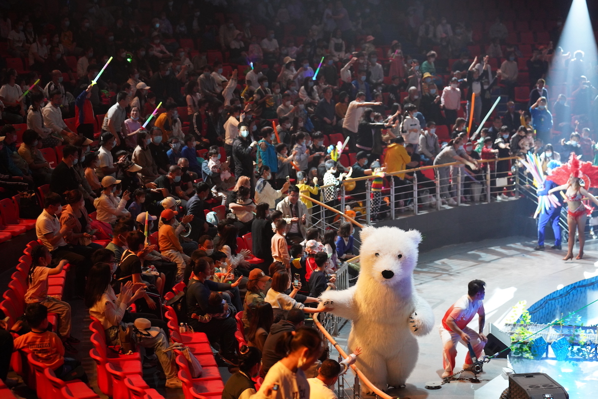 五一假期总接待3.7万人次 青岛森林野生动物世界趣青野露营地报名火热