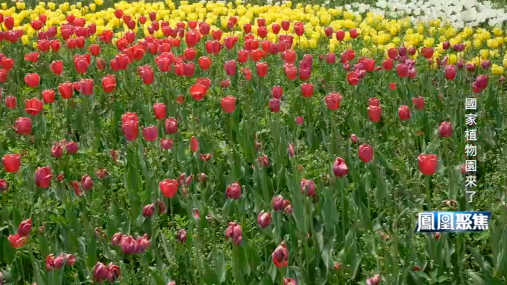 国家植物园来了