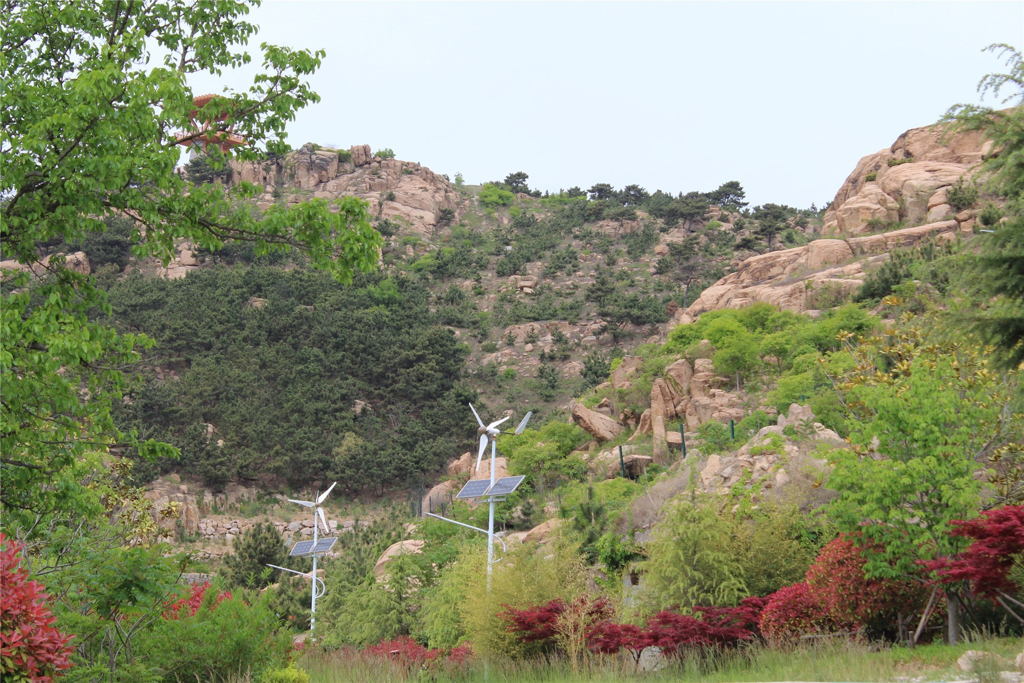 见证城市更新|30余位媒体人见证青岛公园城市建设