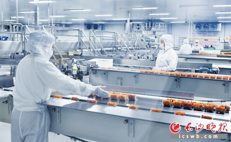 　　浏阳经开区（高新区）盐津铺子生产车间，工人正在配合智能化生产线作业。长沙晚报全媒体记者 邹麟 摄
