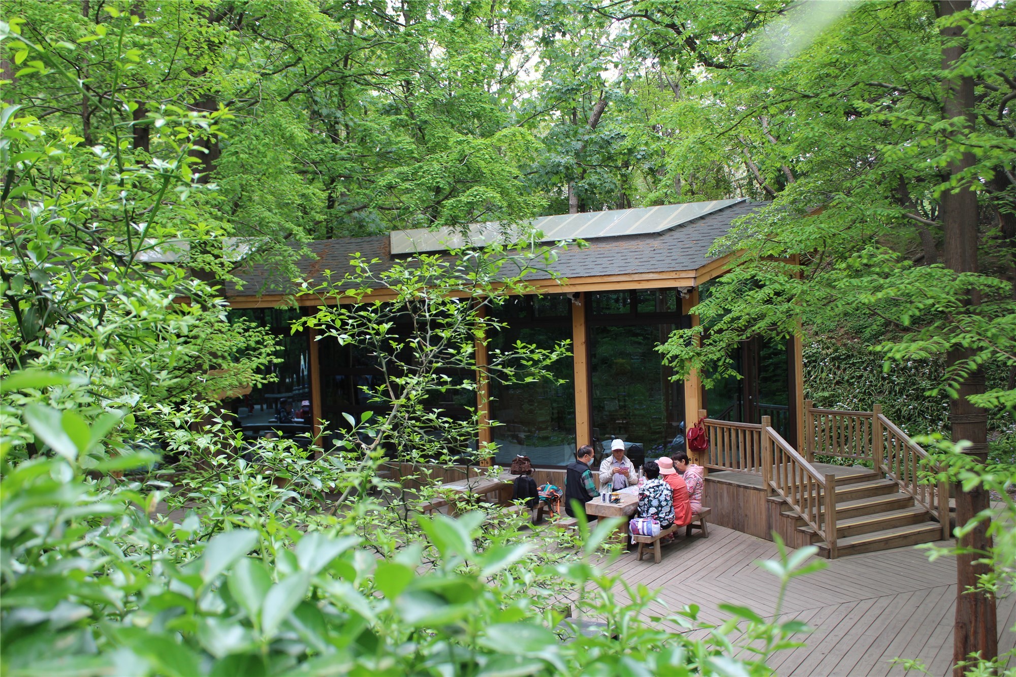 见证城市更新|30余位媒体人见证青岛公园城市建设