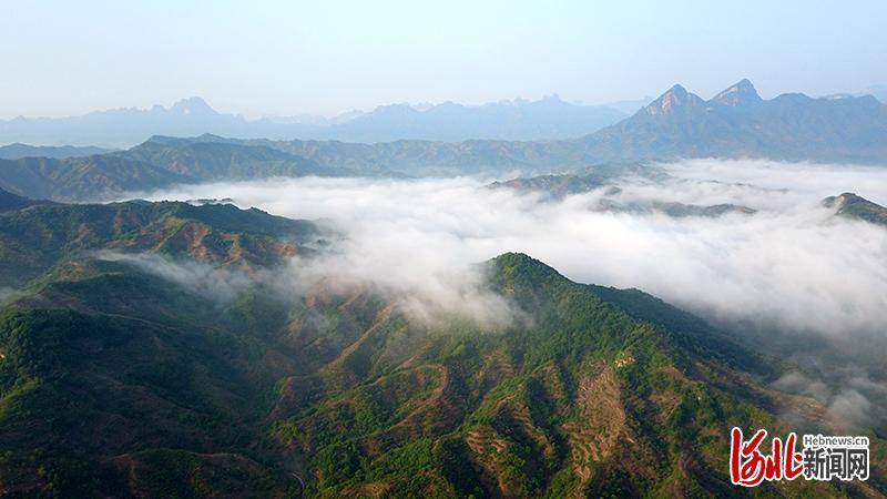 5月10日,雨後初霽,地處太行山區的邢臺市信都區路羅鎮三山溪谷附近