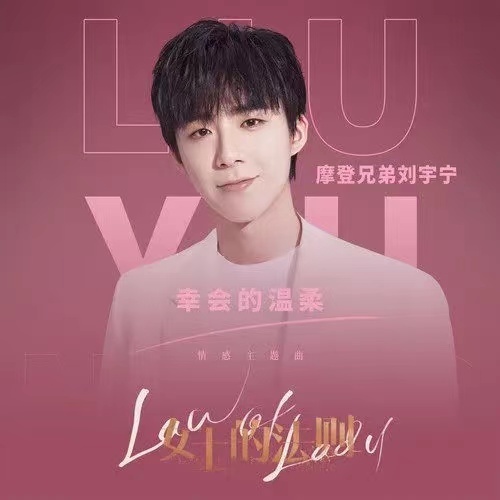 《幸会的温柔》单曲封面。