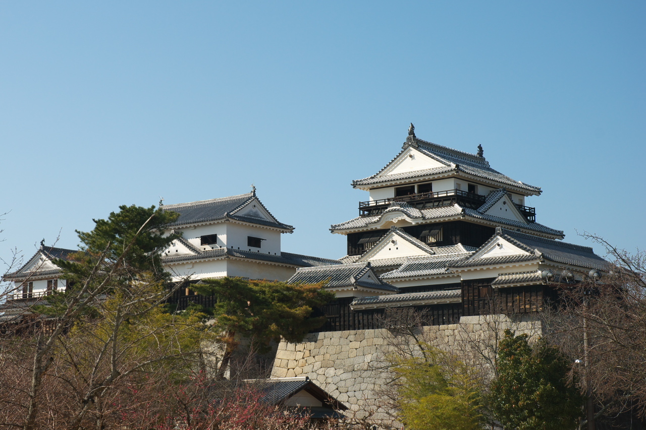 松山城        维基百科 图