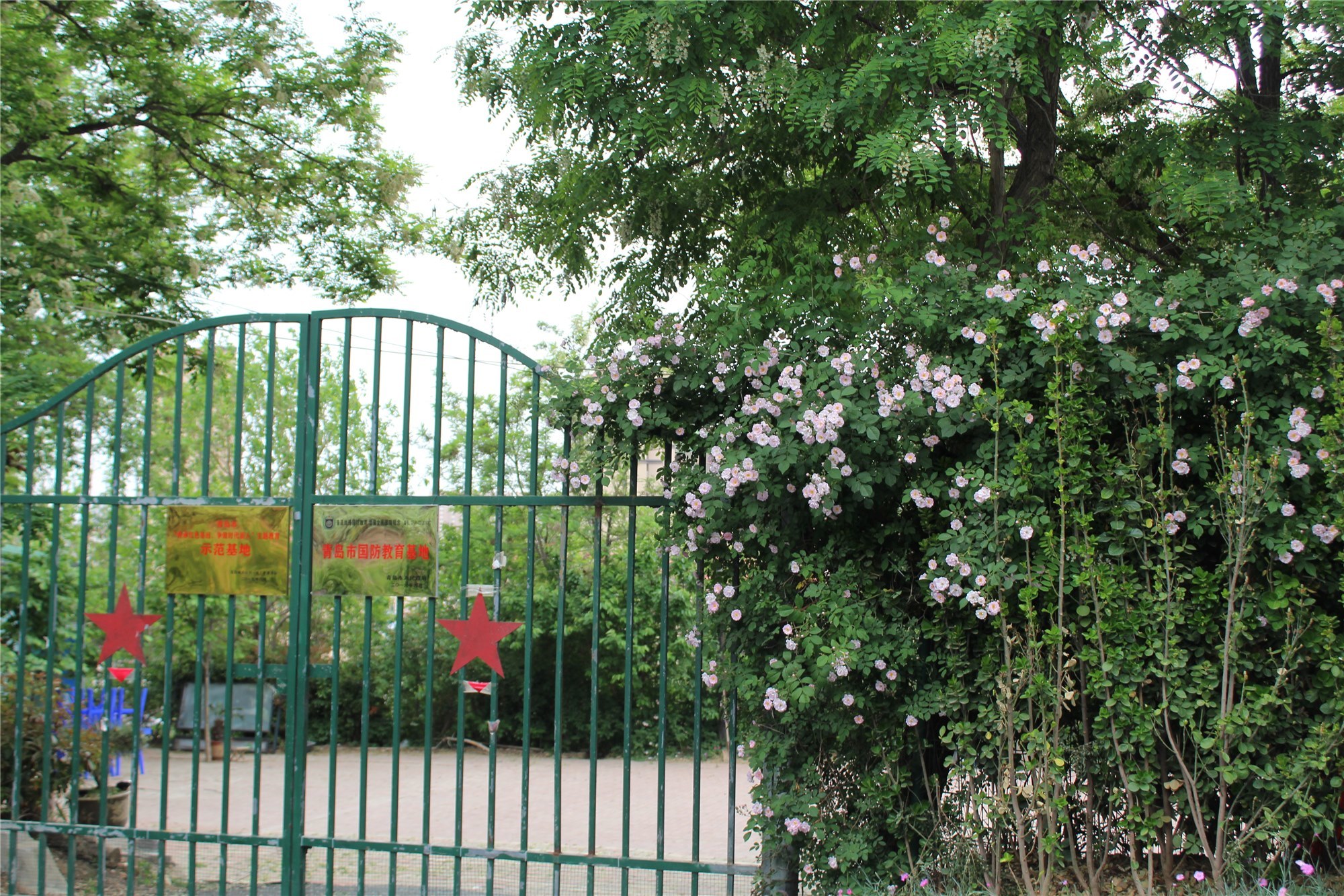 见证城市更新|30余位媒体人见证青岛公园城市建设