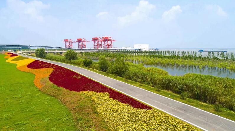 九江湖口县精心打造54公里长江最美岸线