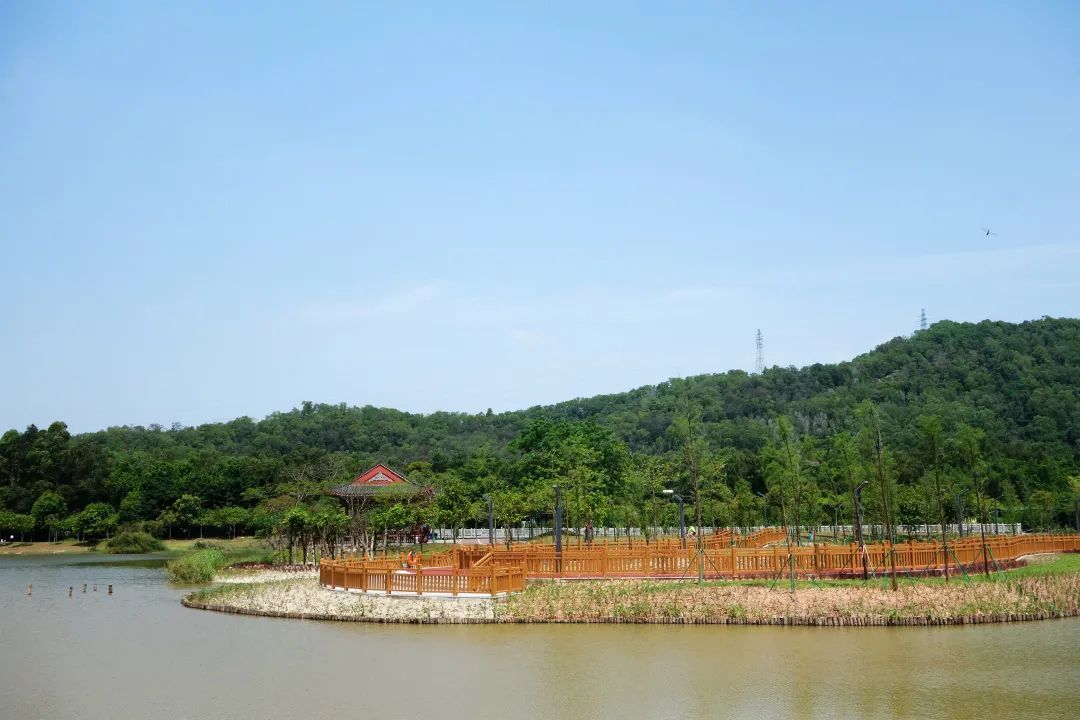 厚街丨顏值更高功能性更強厚街首個生態濱水公園再迎景觀提升