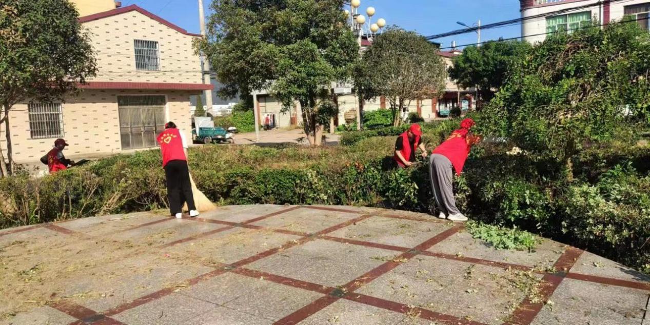 (图为志愿者清扫环境卫生)