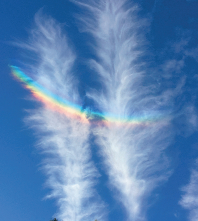 羽翎状卷云形成的环天顶弧，贝丝·霍尔特摄于美国亚利桑那州尤马县。