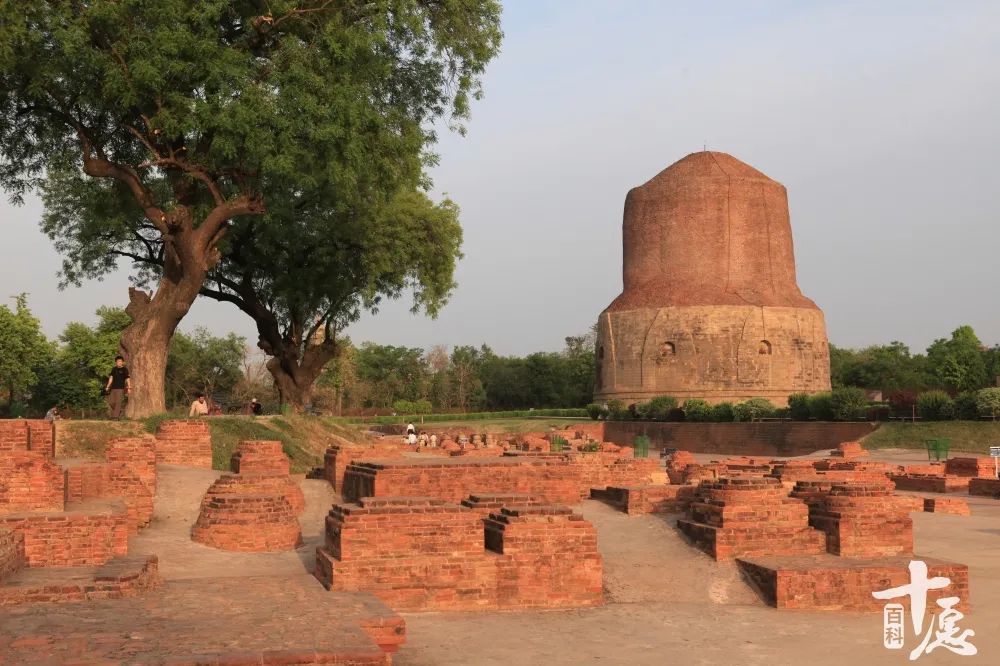 佛诞日瞻礼佛陀五大圣迹忆念觉者伟大的一生