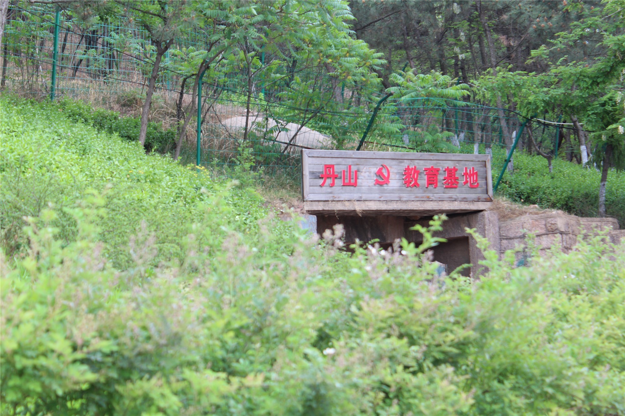 见证城市更新|30余位媒体人见证青岛公园城市建设