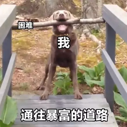 通往暴富的道路,满是困难_道路_通往_暴富_满是_困难表情