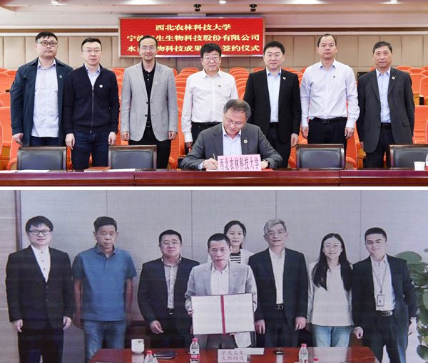 西北农林科技大学又一科技成果转让突破千万元