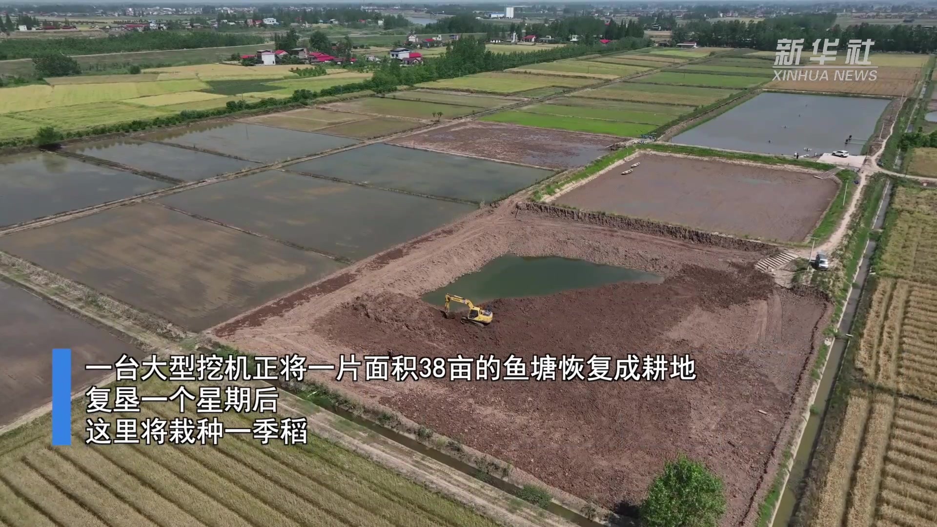 湖南安乡：耕地保护“春雷行动”整改“非粮化”地块