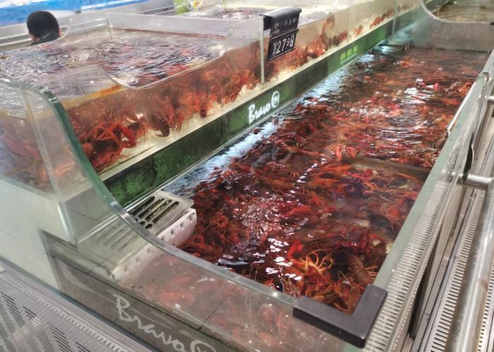 北京丰台区某超市售卖的鲜活小龙虾。 中新财经记者 谢艺观 摄