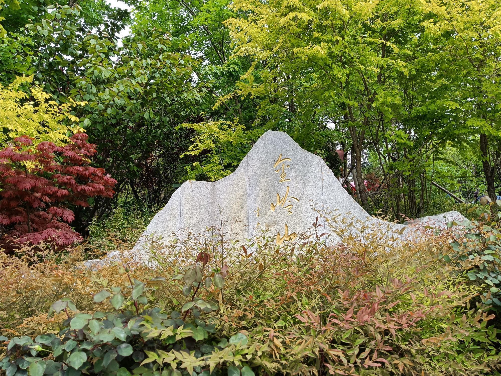 见证城市更新|30余位媒体人见证青岛公园城市建设