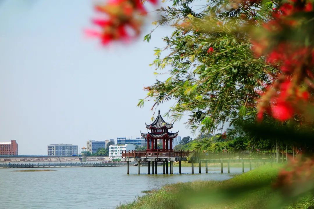 厚街丨颜值更高功能性更强厚街首个生态滨水公园再迎景观提升