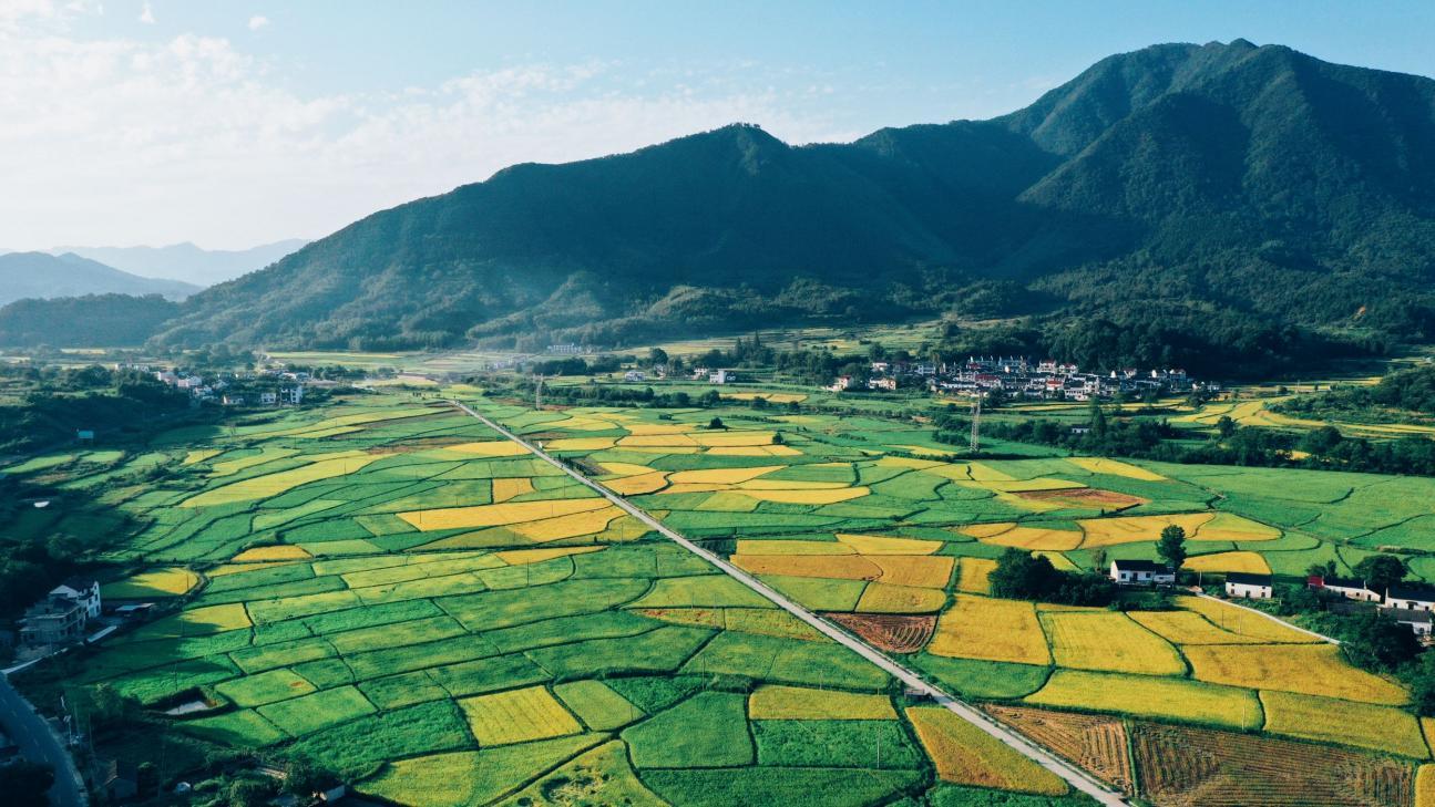 黄山多彩新丰描绘乡村振兴画卷