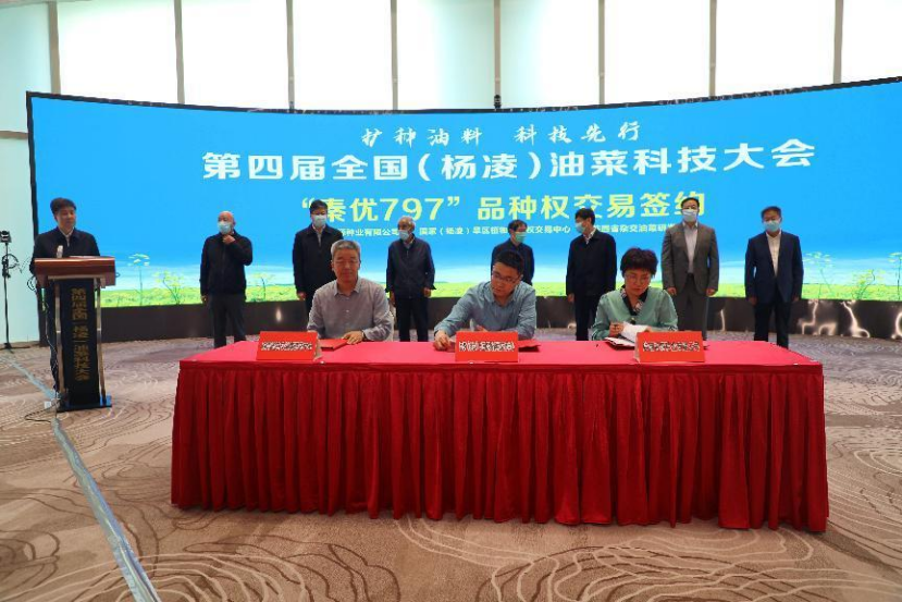 第四届全国（杨凌）油菜科技大会在陕西杨凌成功举办