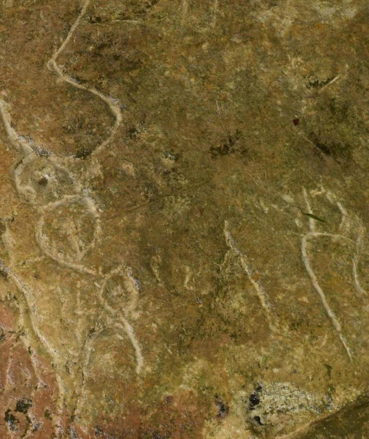 图16：冠饰及珠宝状符号