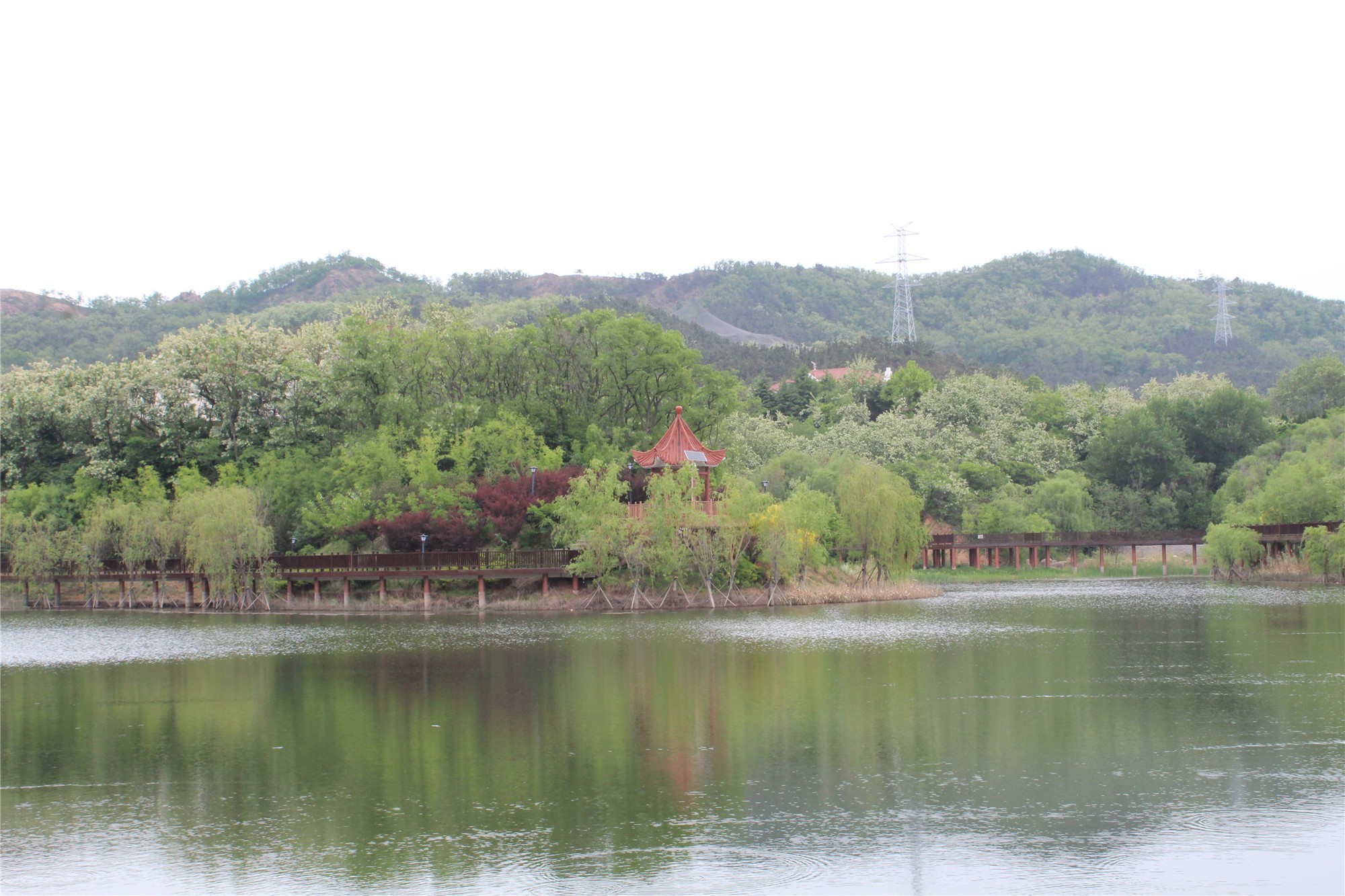 见证城市更新|30余位媒体人见证青岛公园城市建设