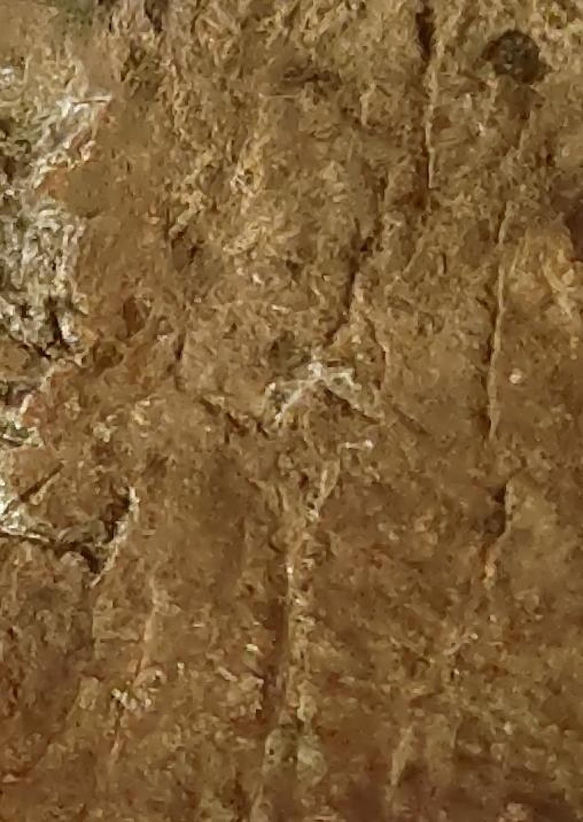 图8：魏体“天下”