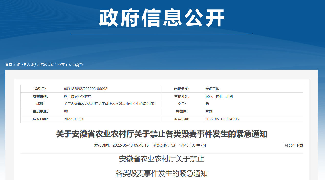 安徽省阜阳市颍上县政府网站关于禁止各类毁麦事件发生的紧急通知截图。