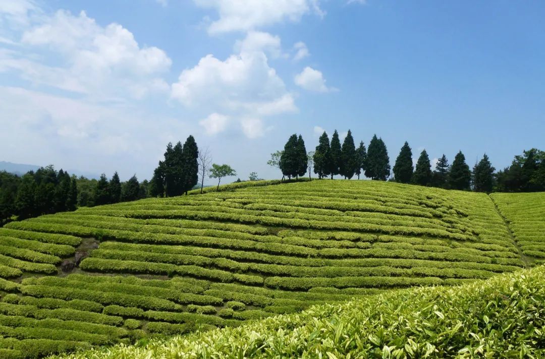 中国美丽休闲乡村余姚市四明山镇大山村