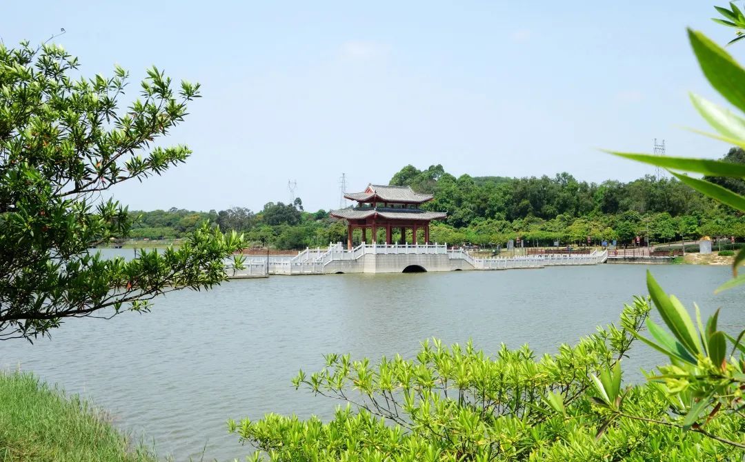 厚街丨颜值更高功能性更强厚街首个生态滨水公园再迎景观提升