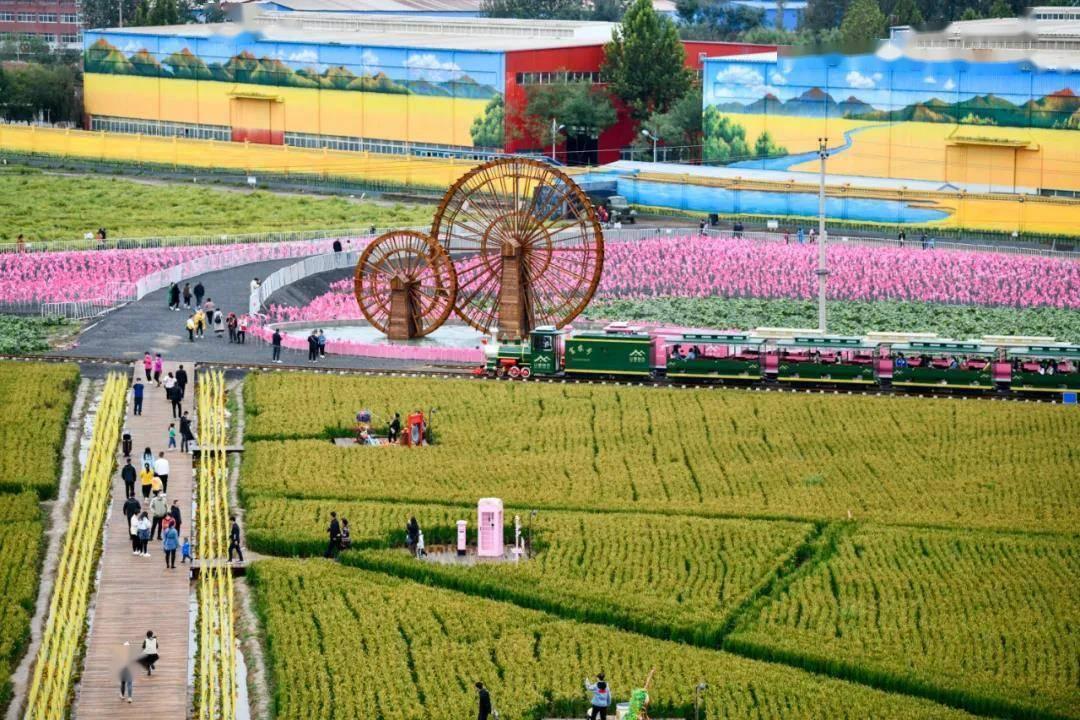 唐山：奋力开创新时代“三个努力建成”“三个走在前列”新局面