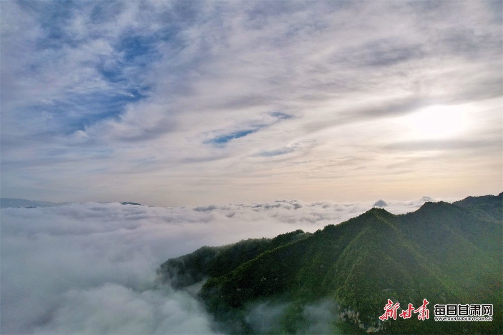 夏日，武都千坝草原景致“撩人”