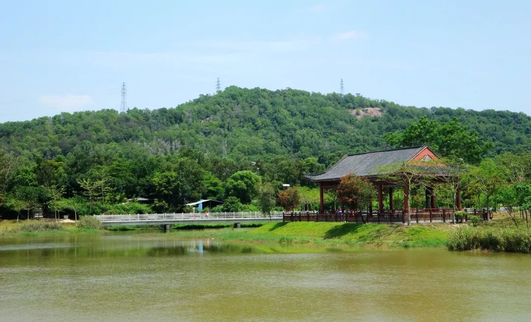 厚街丨顏值更高功能性更強厚街首個生態濱水公園再迎景觀提升