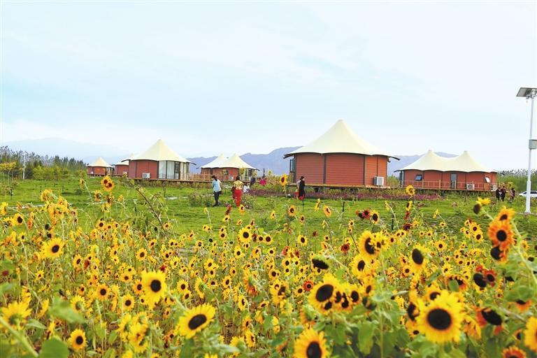 临泽县丹霞生态康养谷帐篷酒店