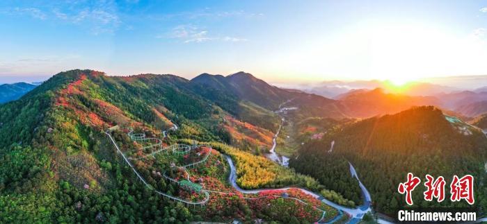 “杜鹃花痴”助民众端起“生态碗”:绿水青山引客来