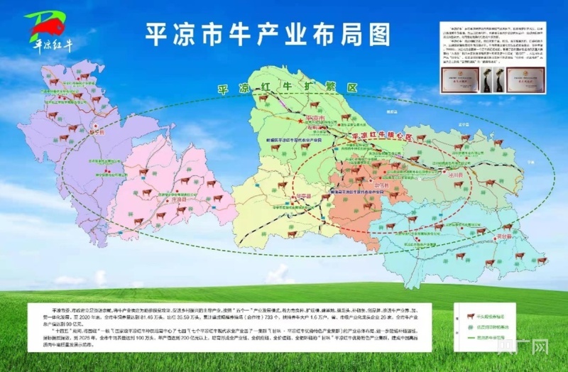 图片制作：杨诗卉