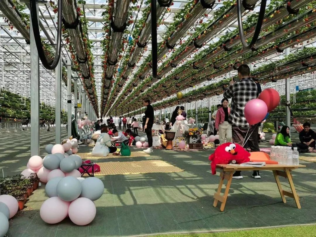 宫家村—沙沟—幸福时光开心农场遇见美好城阳·夜间休闲游97鲁邦