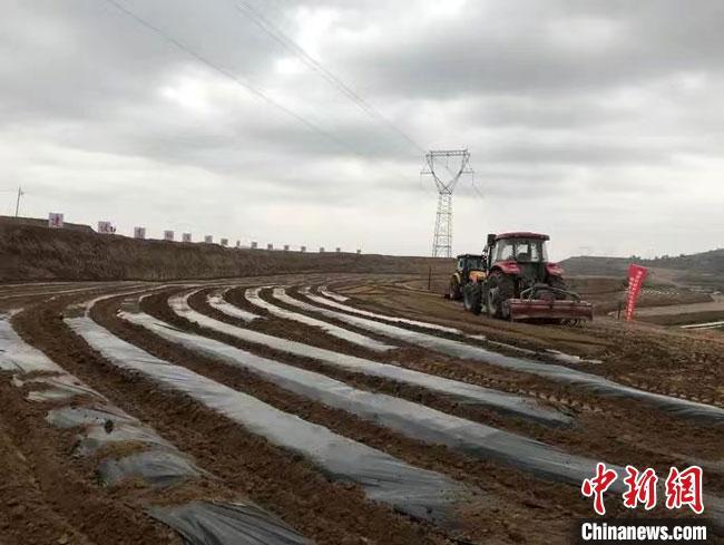甘肅:“寒涼”持續盤踞“甘味”農產備受考驗