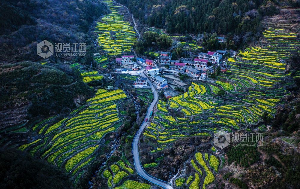 在南昌市湾里管理局洗药湖管理处牛岭村,蜿蜒秀美的山路将藏在深山的