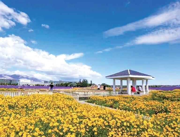 美丽的城区一角 （资料图）